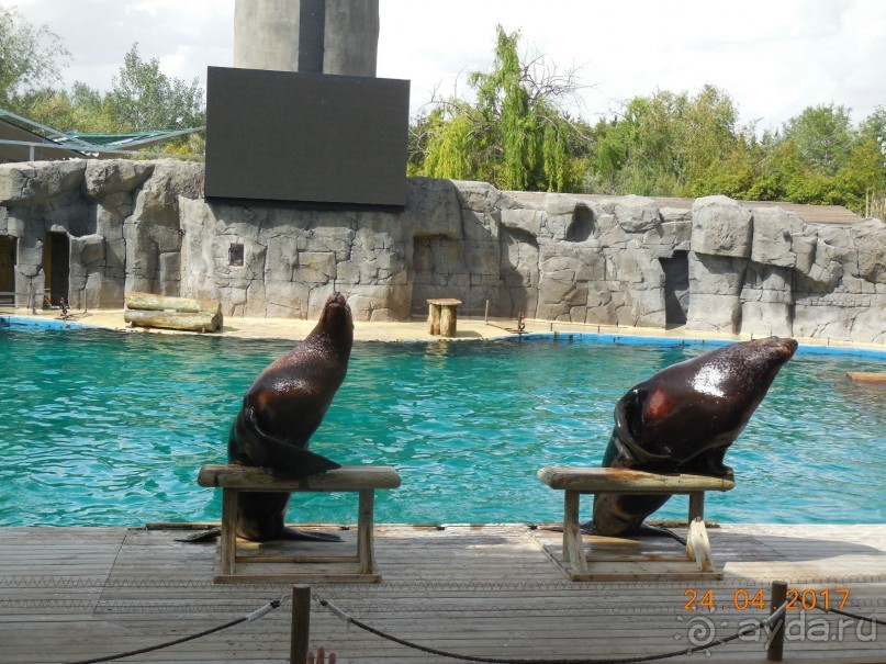 Мадрид в деталях для детей 5-6 лет и не только. Мадрид в деталях для детей 5-6 лет и не только.