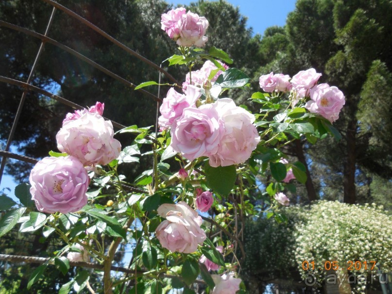 Мадрид в деталях для детей 5-6 лет и не только.