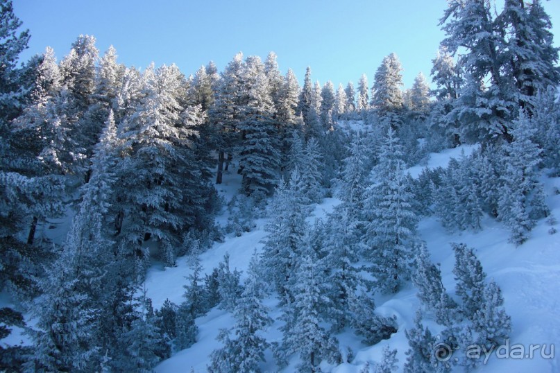 Банско на НГ- путешествие с ребенком 1,5 лет- лучше еще раз все взвесить! 