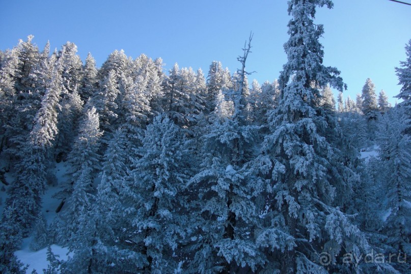 Банско на НГ- путешествие с ребенком 1,5 лет- лучше еще раз все взвесить! 
