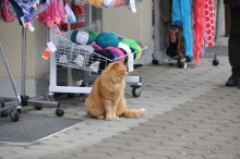 На горнолыжный курорт с 7 месячным ребенком