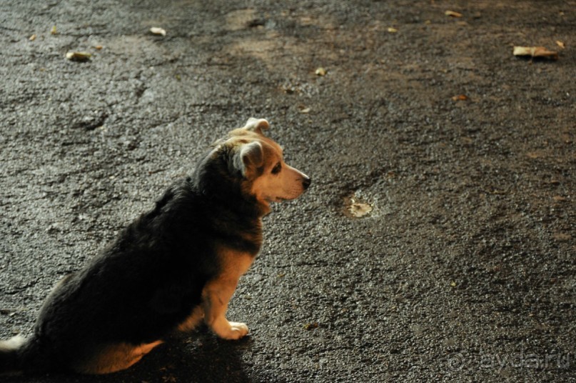 По Риму без гида. Легенды, предания и действительность. Часть I. От СММ до Пантеона