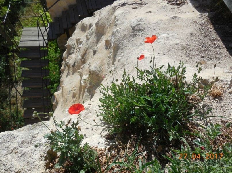 В Сеговию с ребенком или один счастливый день!