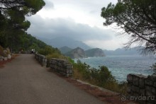 дорога в Ржевичи