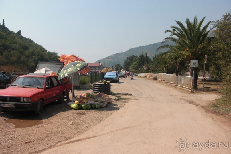 по дороге к пляжу Лучице на машинах продают фрукты, на 50 центов дешевле, чем на рынке