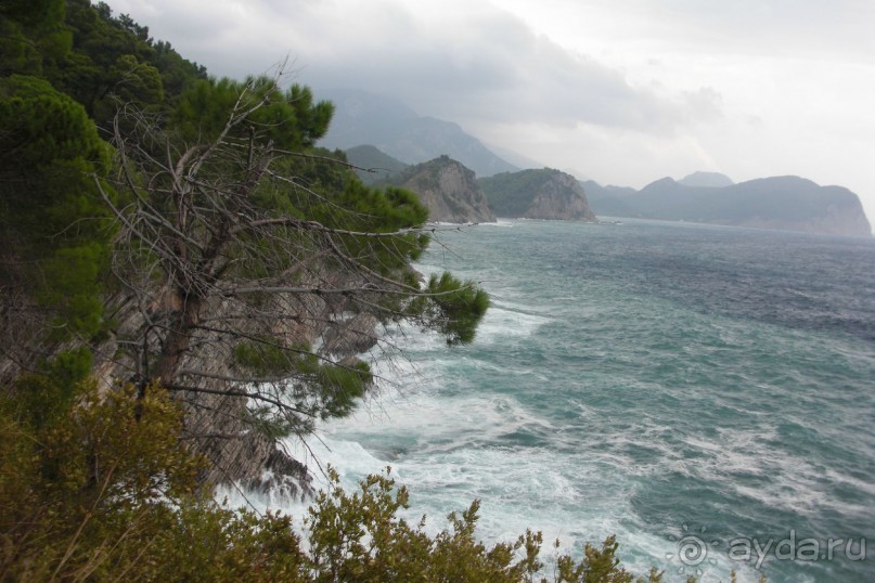 дорога в Ржевичи