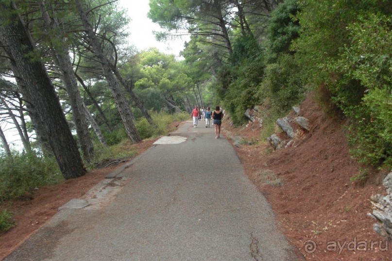 дорога в сотрону Ржевичей, отлично гулять с коляской!!