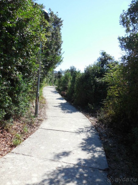 Альбом отзыва "Две совсем разных Черногории для отдыха с детьми"