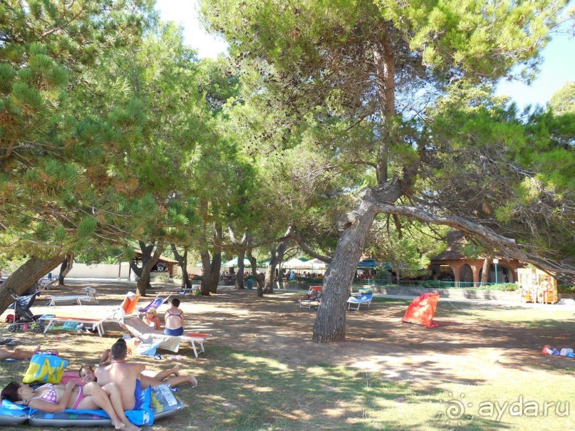 Альбом отзыва "Две совсем разных Черногории для отдыха с детьми"