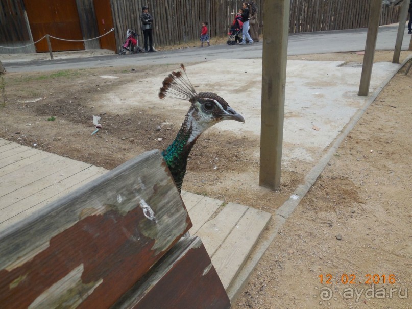 В Барселону в феврале с ребенком 4,5 лет - то что нужно!