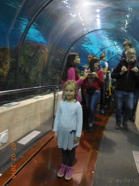 В Барселону в феврале с ребенком 4,5 лет - то что нужно!