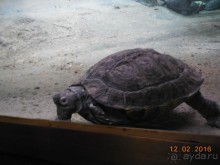 В Барселону в феврале с ребенком 4,5 лет - то что нужно!