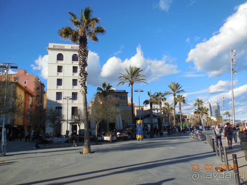 В Барселону в феврале с ребенком 4,5 лет - то что нужно!