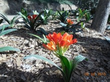 В Барселону в феврале с ребенком 4,5 лет - то что нужно!