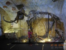 В Барселону в феврале с ребенком 4,5 лет - то что нужно!