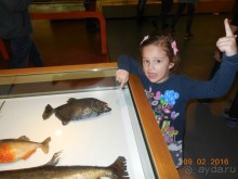 В Барселону в феврале с ребенком 4,5 лет - то что нужно!