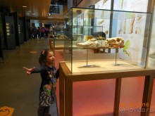 В Барселону в феврале с ребенком 4,5 лет - то что нужно!