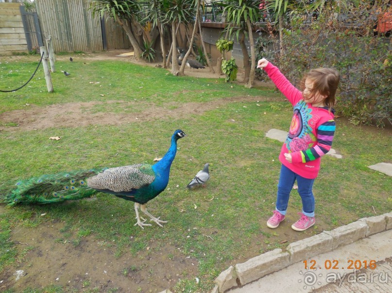 В Барселону в феврале с ребенком 4,5 лет - то что нужно!