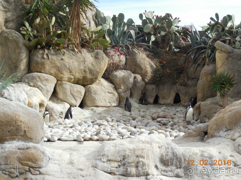 В Барселону в феврале с ребенком 4,5 лет - то что нужно!