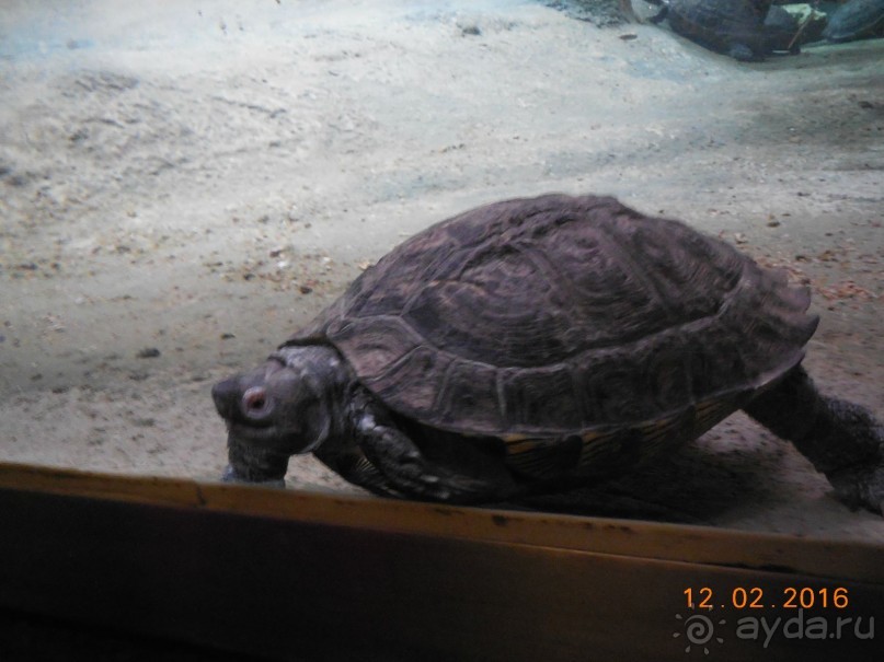 В Барселону в феврале с ребенком 4,5 лет - то что нужно!