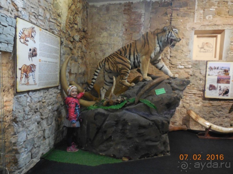 В Барселону в феврале с ребенком 4,5 лет - то что нужно!