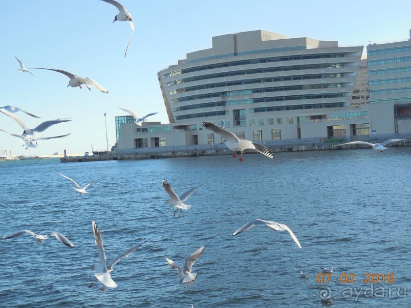 В Барселону в феврале с ребенком 4,5 лет - то что нужно!