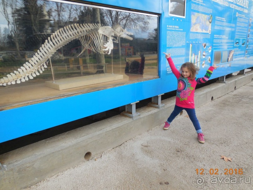 В Барселону в феврале с ребенком 4,5 лет - то что нужно!