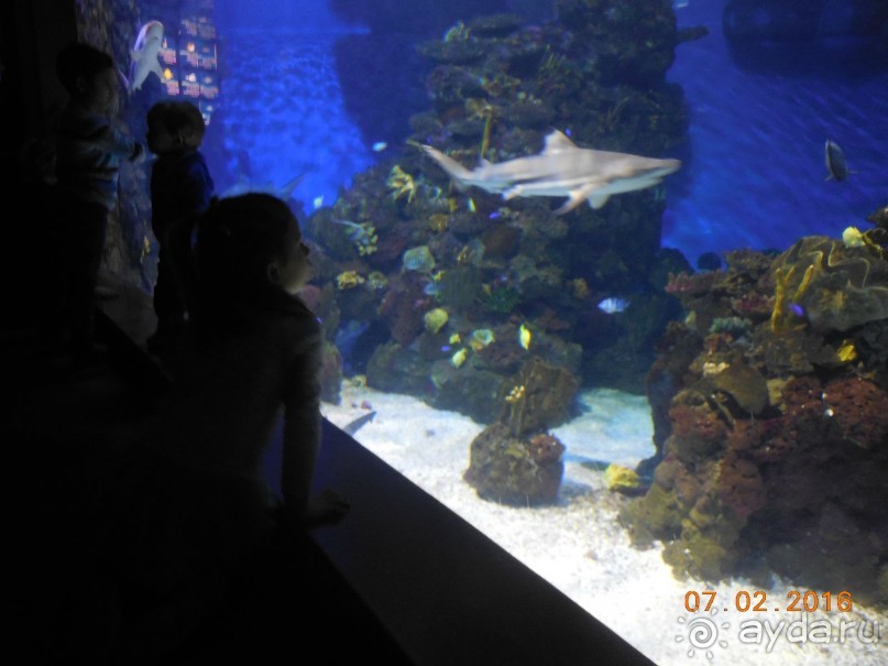 В Барселону в феврале с ребенком 4,5 лет - то что нужно!