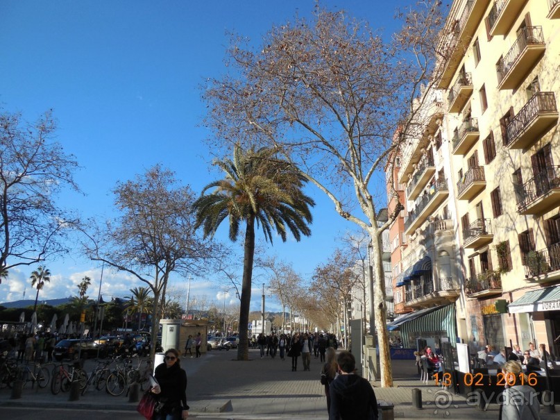 В Барселону в феврале с ребенком 4,5 лет - то что нужно!