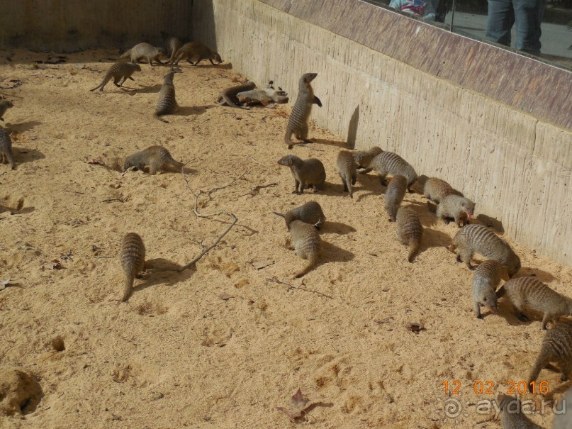 В Барселону в феврале с ребенком 4,5 лет - то что нужно!