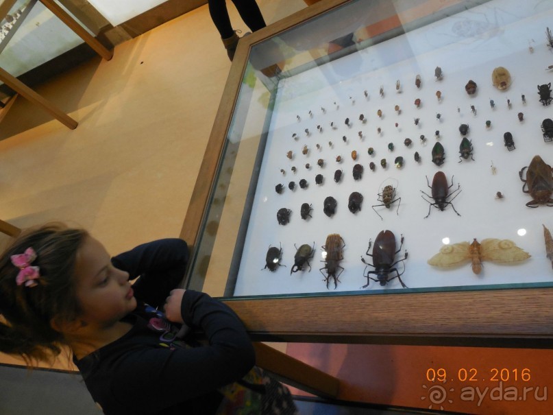 В Барселону в феврале с ребенком 4,5 лет - то что нужно!