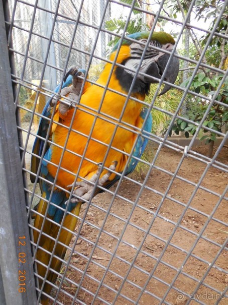 В Барселону в феврале с ребенком 4,5 лет - то что нужно!