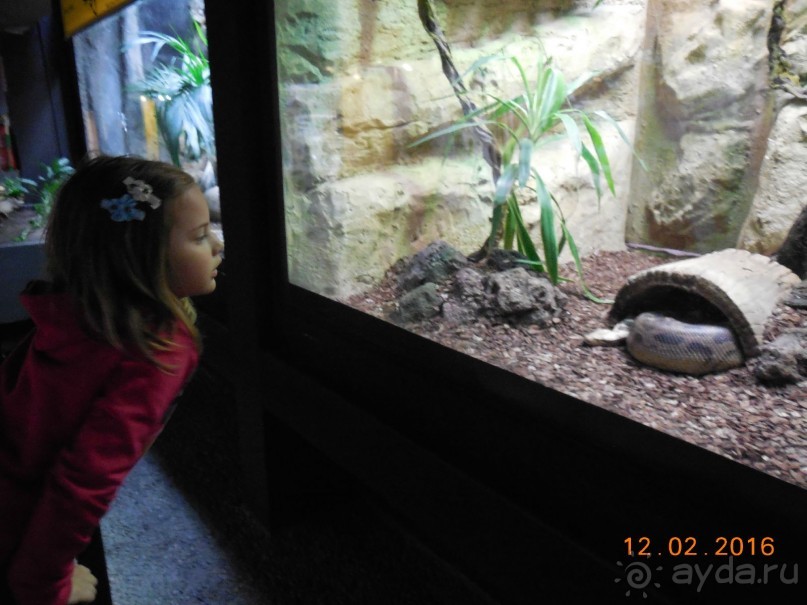 В Барселону в феврале с ребенком 4,5 лет - то что нужно!