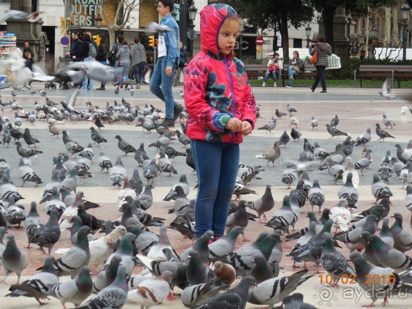 В Барселону в феврале с ребенком 4,5 лет - то что нужно!