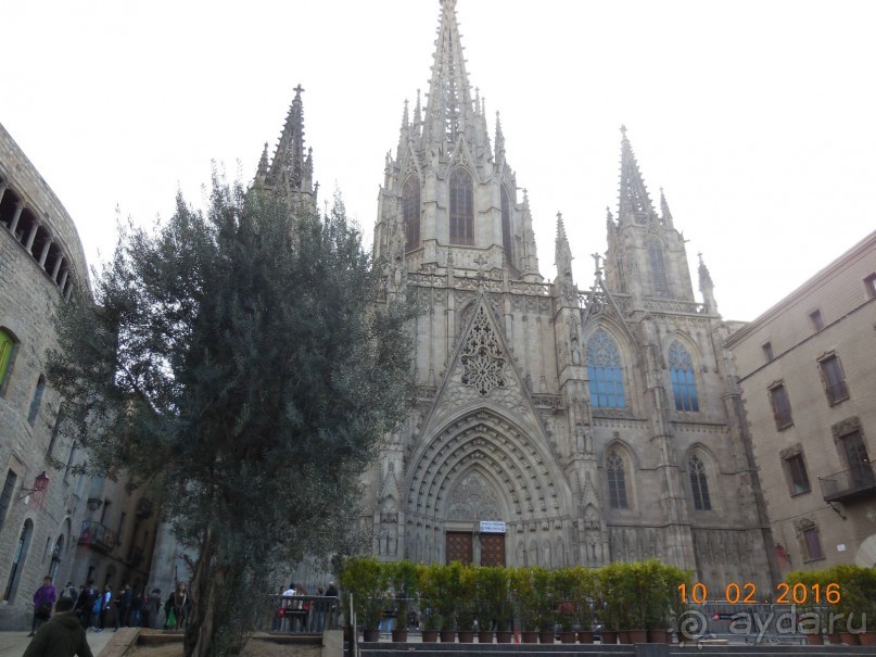 В Барселону в феврале с ребенком 4,5 лет - то что нужно!