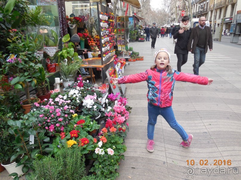 В Барселону в феврале с ребенком 4,5 лет - то что нужно!