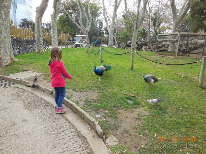 В Барселону в феврале с ребенком 4,5 лет - то что нужно!