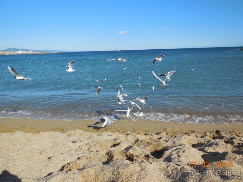 В Барселону в феврале с ребенком 4,5 лет - то что нужно!