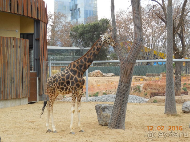 В Барселону в феврале с ребенком 4,5 лет - то что нужно!