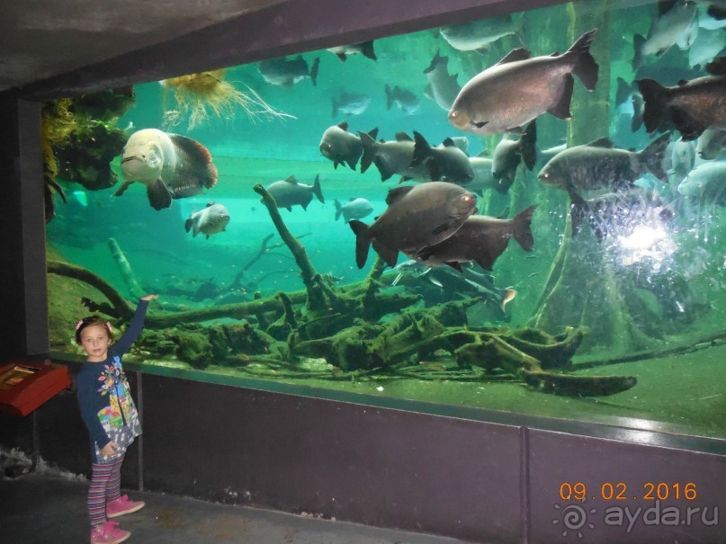 В Барселону в феврале с ребенком 4,5 лет - то что нужно!