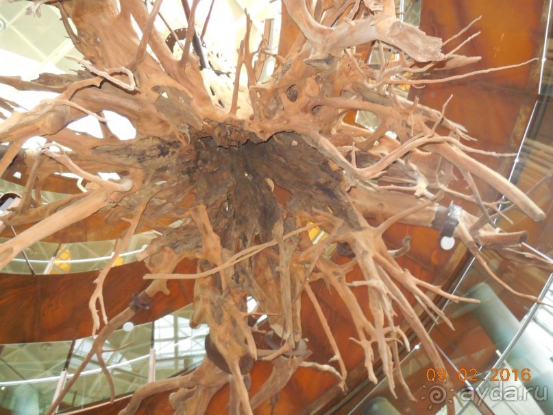 В Барселону в феврале с ребенком 4,5 лет - то что нужно!