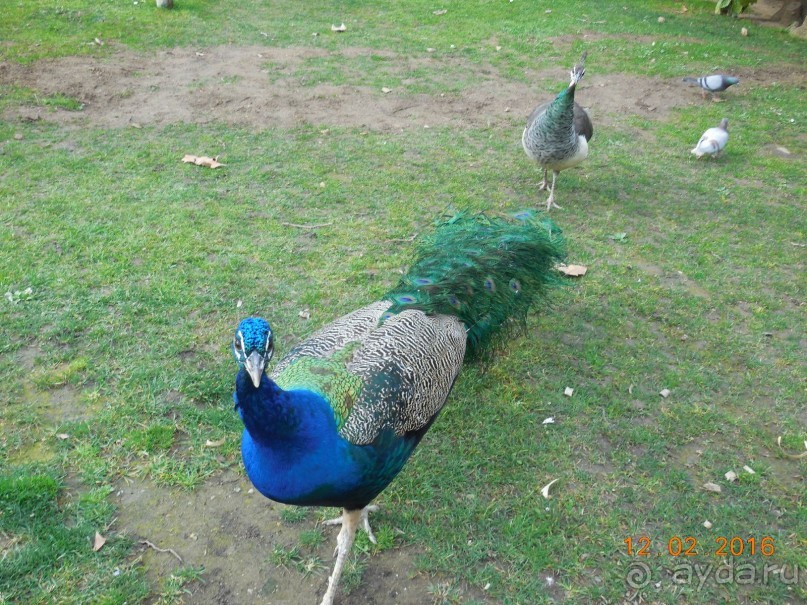 В Барселону в феврале с ребенком 4,5 лет - то что нужно!