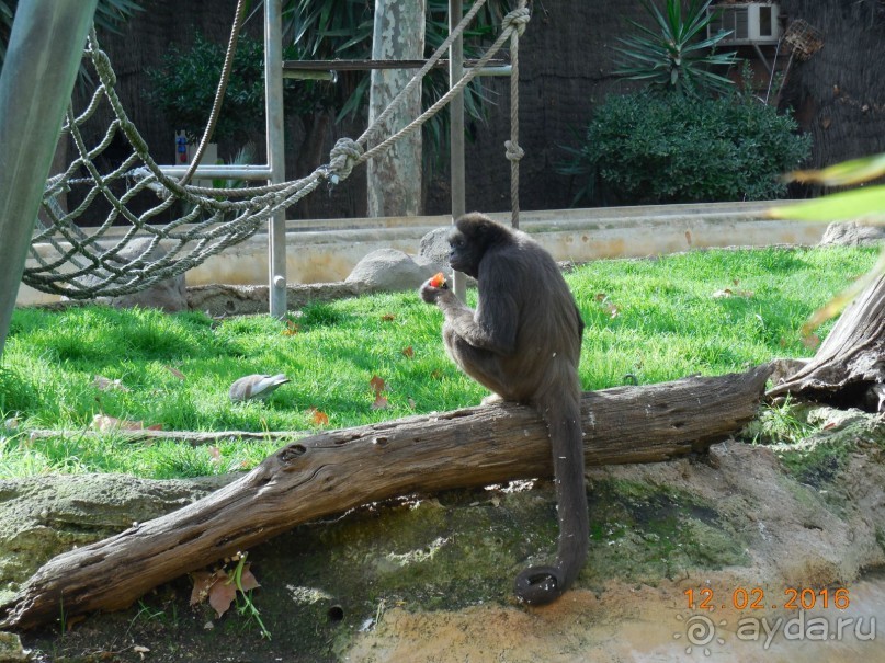 В Барселону в феврале с ребенком 4,5 лет - то что нужно!