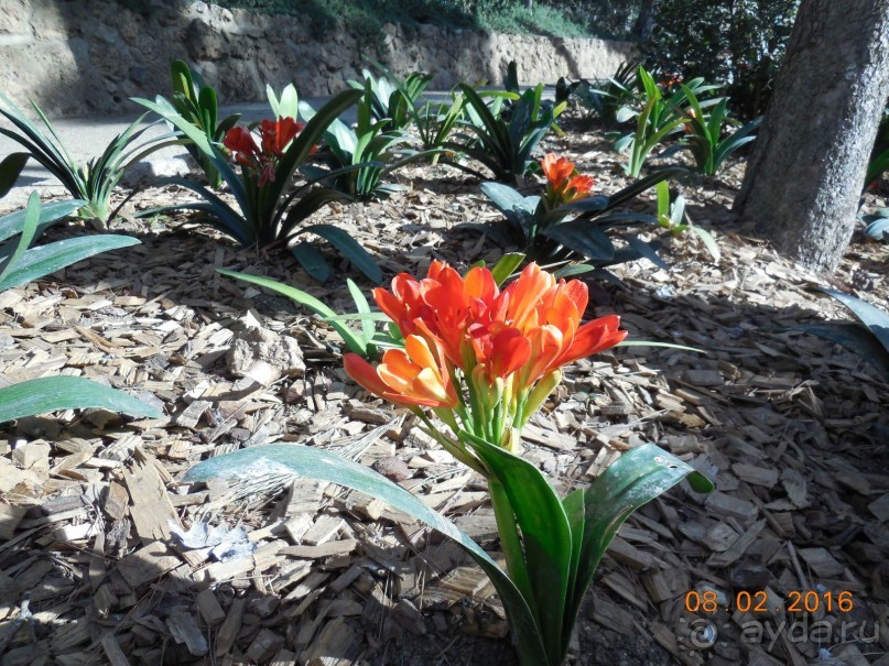 В Барселону в феврале с ребенком 4,5 лет - то что нужно!