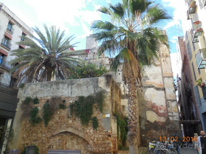 В Барселону в феврале с ребенком 4,5 лет - то что нужно!