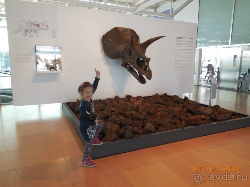 В Барселону в феврале с ребенком 4,5 лет - то что нужно!