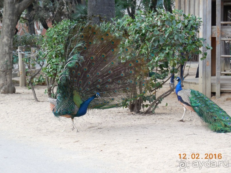 В Барселону в феврале с ребенком 4,5 лет - то что нужно!