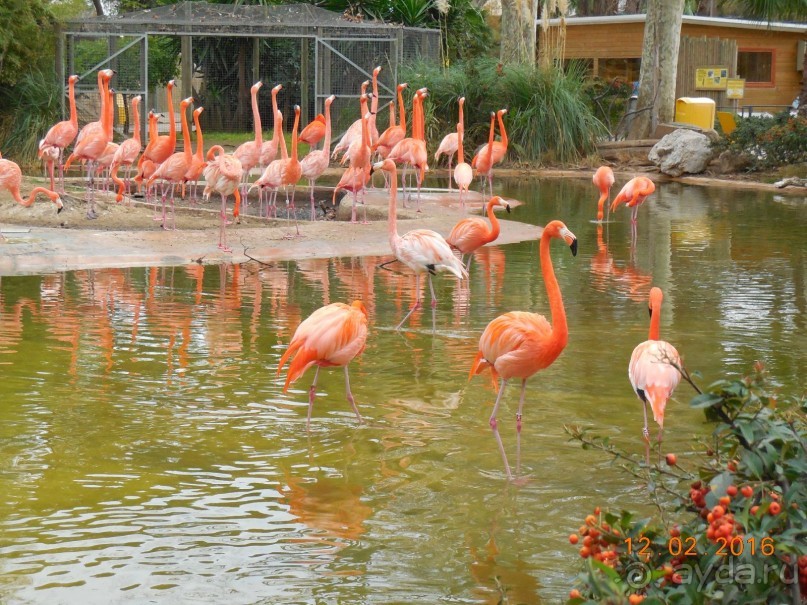 В Барселону в феврале с ребенком 4,5 лет - то что нужно!