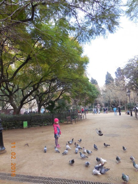 В Барселону в феврале с ребенком 4,5 лет - то что нужно!