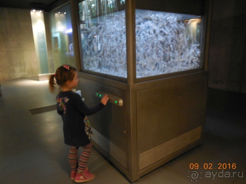 В Барселону в феврале с ребенком 4,5 лет - то что нужно!